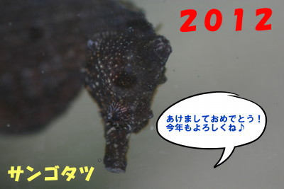年賀状