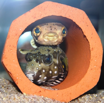 仲良し