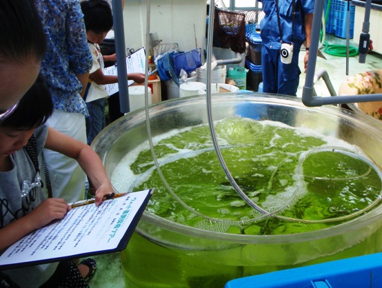 薬浴