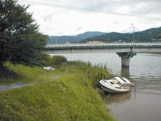 都田川の手長エビポイント