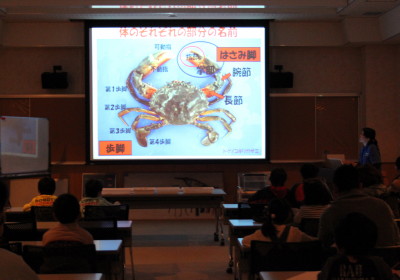 カニの勉強会