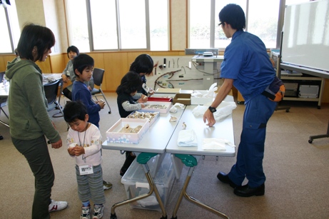 貝選び