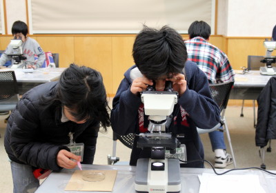 顕微鏡観察