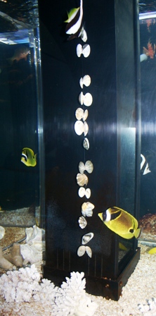 お魚食堂