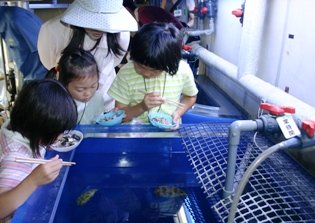 展示水槽