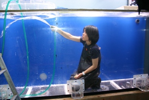 ふじい
