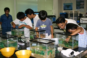 ミニ水族館作り