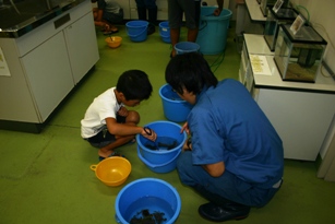 生き物選び