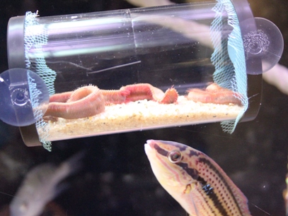 食べよっかなぁ〜