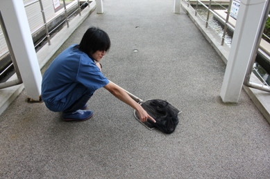 へび5
