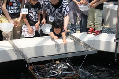 うなぎエサやり3