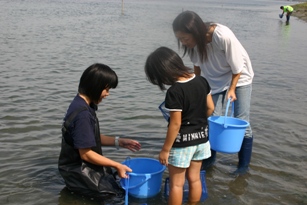生物観察