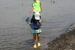 生き物採集