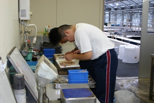職場体験