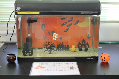 ハロウィン1