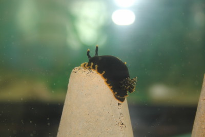 あとちょっと