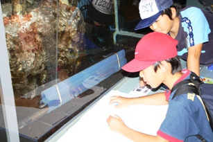 写生大会1