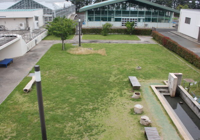 草刈