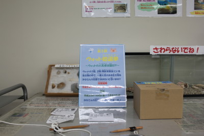 実験