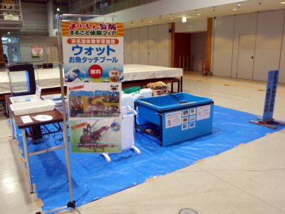 タッチプール