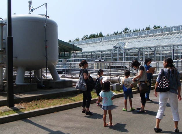 ウォットの水